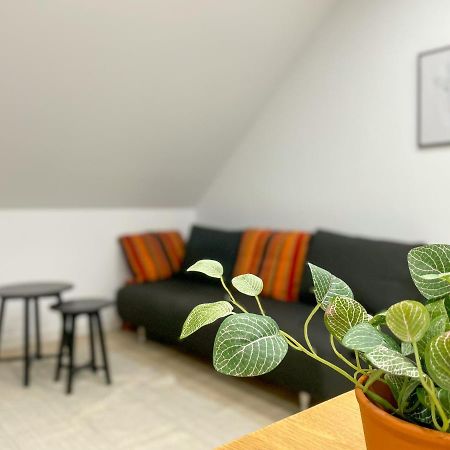 Ferienwohnung Schoenes Maifeld Polch 外观 照片