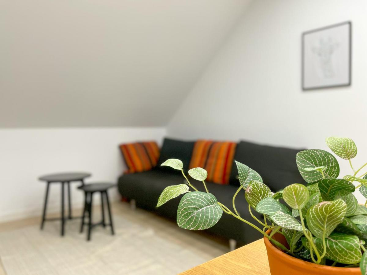 Ferienwohnung Schoenes Maifeld Polch 外观 照片
